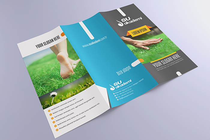 Tri Fold Brochure Designs